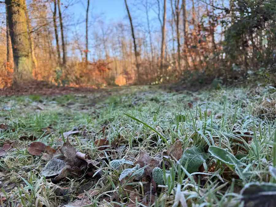 Weihnachten 2024 Zuversicht